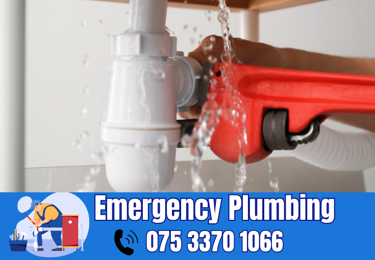  plumber St Mary Cray