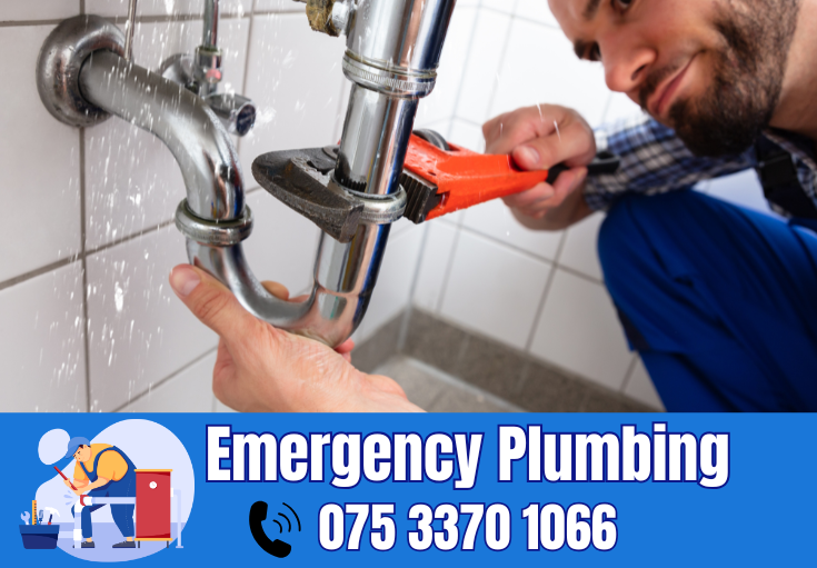 plumber Chelsfield